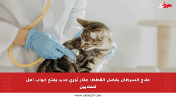 علاج السرطان بفضل القطط: عقار ثوري جديد يفتح أبواب أمل للملايين